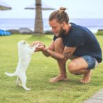 Pet
