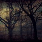 forest-2044261_640