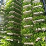 vertical-growing-towers