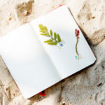 StockSnap_J6XNQ9DEFI