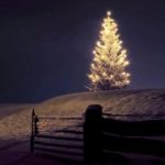 c70ed94073e6536b9999a7f9d83a91e2–lighted-christmas-trees-outdoor-christmas-trees
