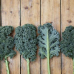 kale