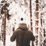 trees-2562158_640