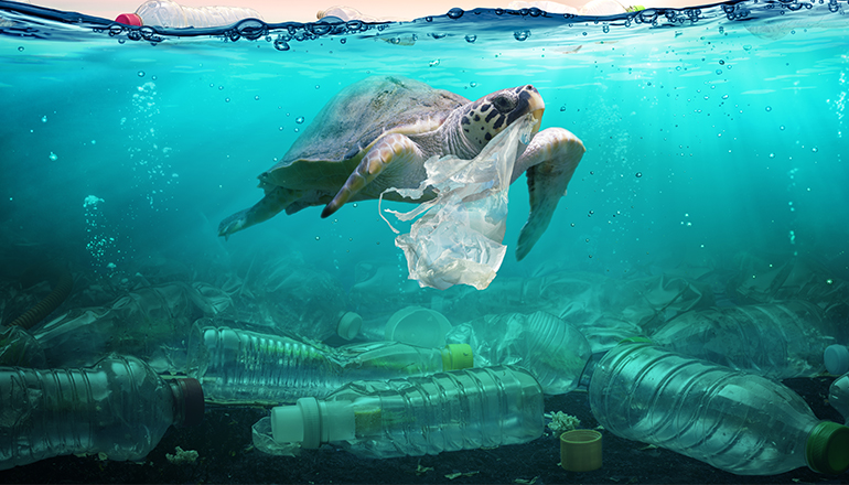 Ocean Pollution