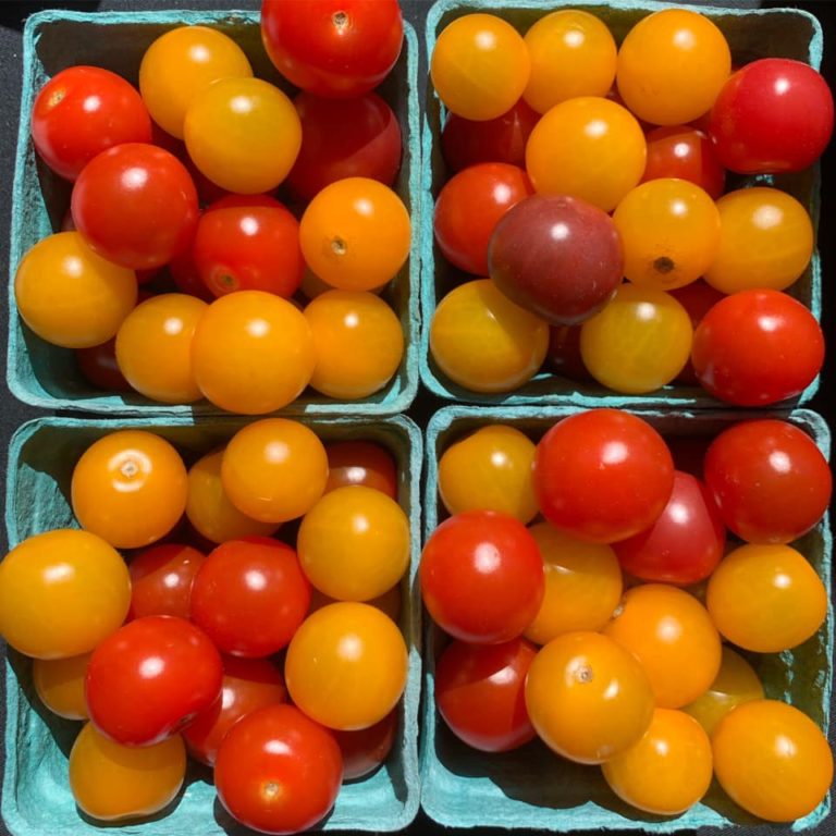 Point Pleasant Beach Farmers Market