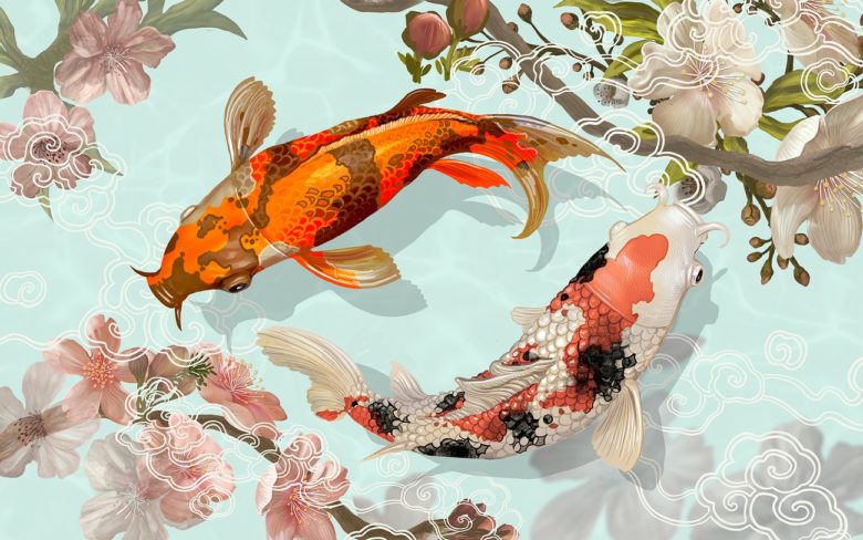 Koi
