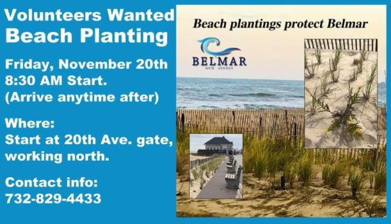belmarbeachplanting