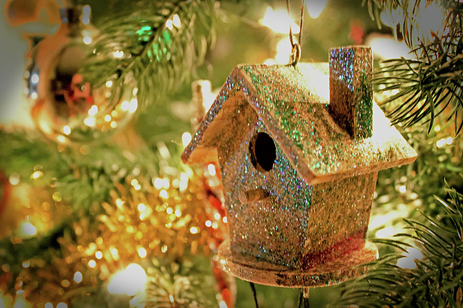 birdhouse-ornament-ira-marcus