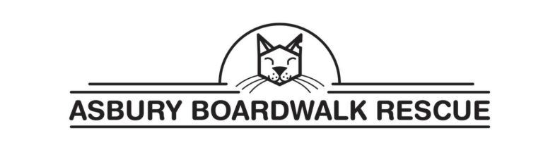 Asbury Boardwalk Rescue w/ Colossal Street Jam – Mooch & Mata