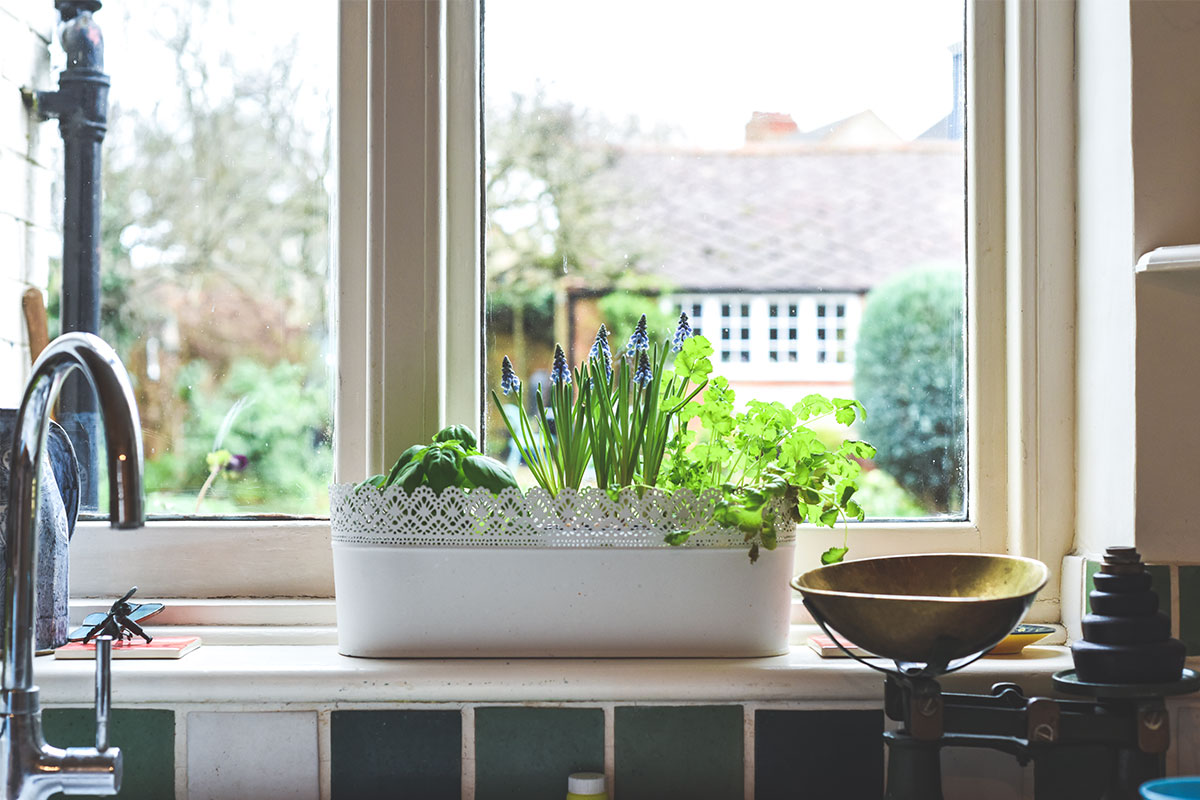 herb-garden-kitchen-window
