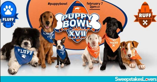 Puppy Bowl Watch Party & Adoption Event
