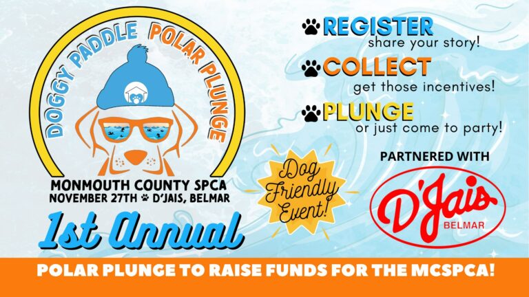 MCSPCA Doggy Paddle Polar Plunge