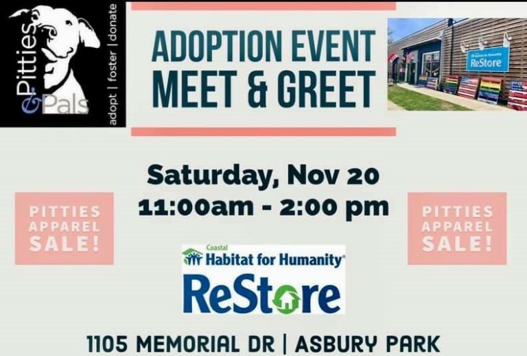 Adoption Event Meet And Greet