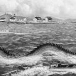 Sandy Hook Sea Serpent 2
