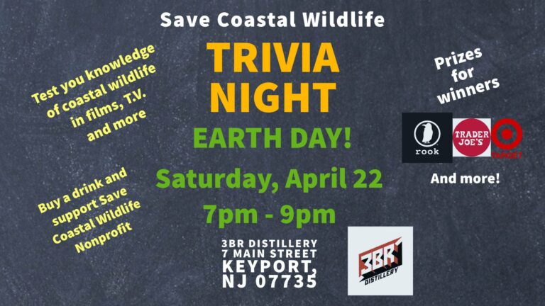 Coastal Wildlife Trivia Night