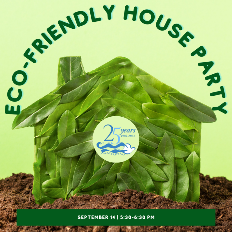 Eco-Friendly-House Party