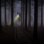 foggy-545838_1280