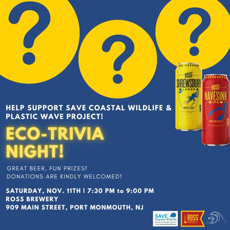 Eco-Trivia Night at Ross Brewery