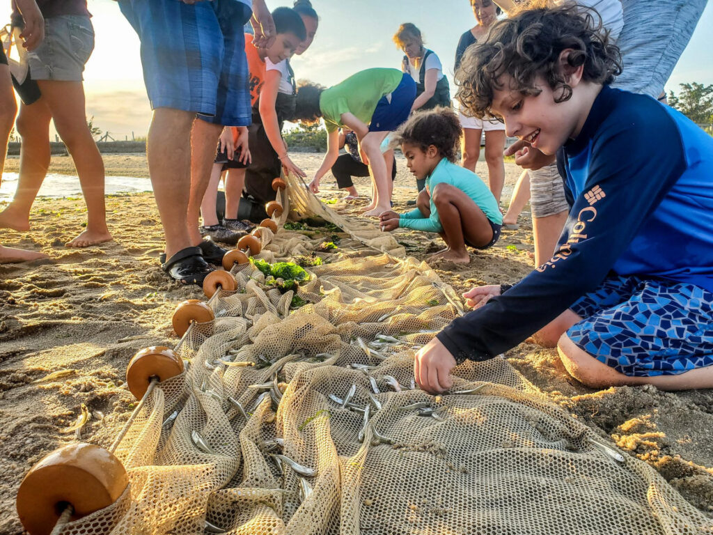 Sandy Hook Sunset Seining - Jersey Shore Scene