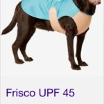 FRISCO Cooling Coat on Large Dog
