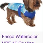 FRISCO Cooling Vest on Small Dog